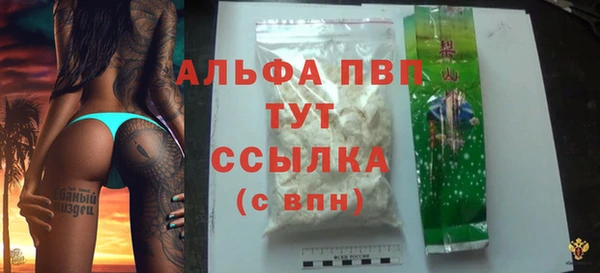 стафф Каменка