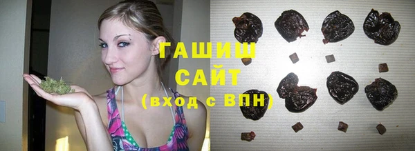 индика Каменск-Шахтинский