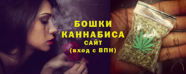 стафф Каменка