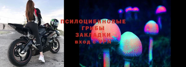 стафф Каменка