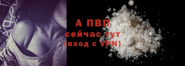 стафф Каменка