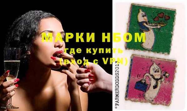 стафф Каменка