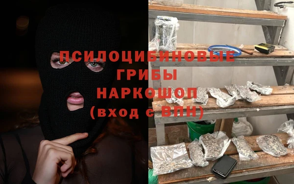 стафф Каменка