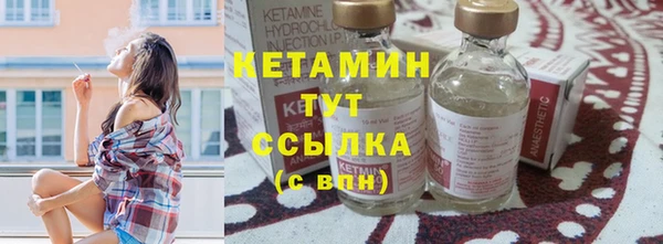 стафф Каменка